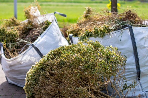 Best Moving and Downsizing Cleanouts  in Rising Sun, MD